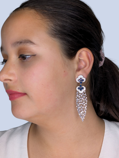 Long Dangling Earrings